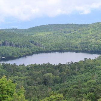 白駒池
ニュウの時より良く見える