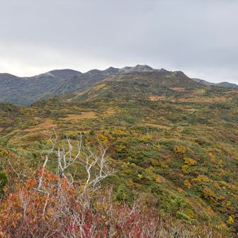 白馬岳、朝日岳方面
あそこから歩いてきたんだね