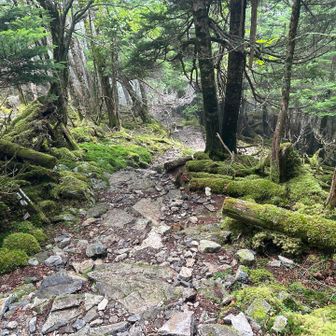 もうすぐ一の森