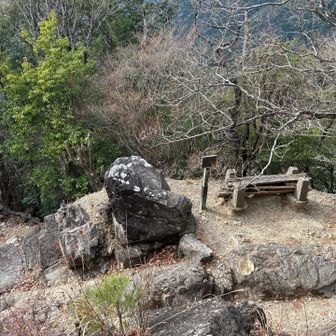 調子はイマイチですが、何とかここまで来れています😅