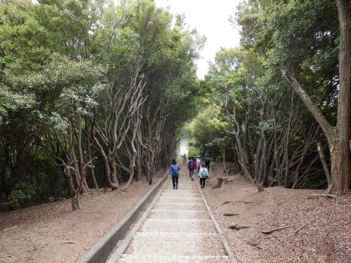 今まで山道だったのが、公園の遊歩道に変わってくると現れるのが…