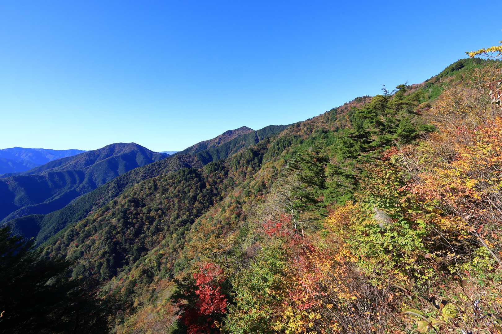 中心付近が高賀山。
その左が蕪山？