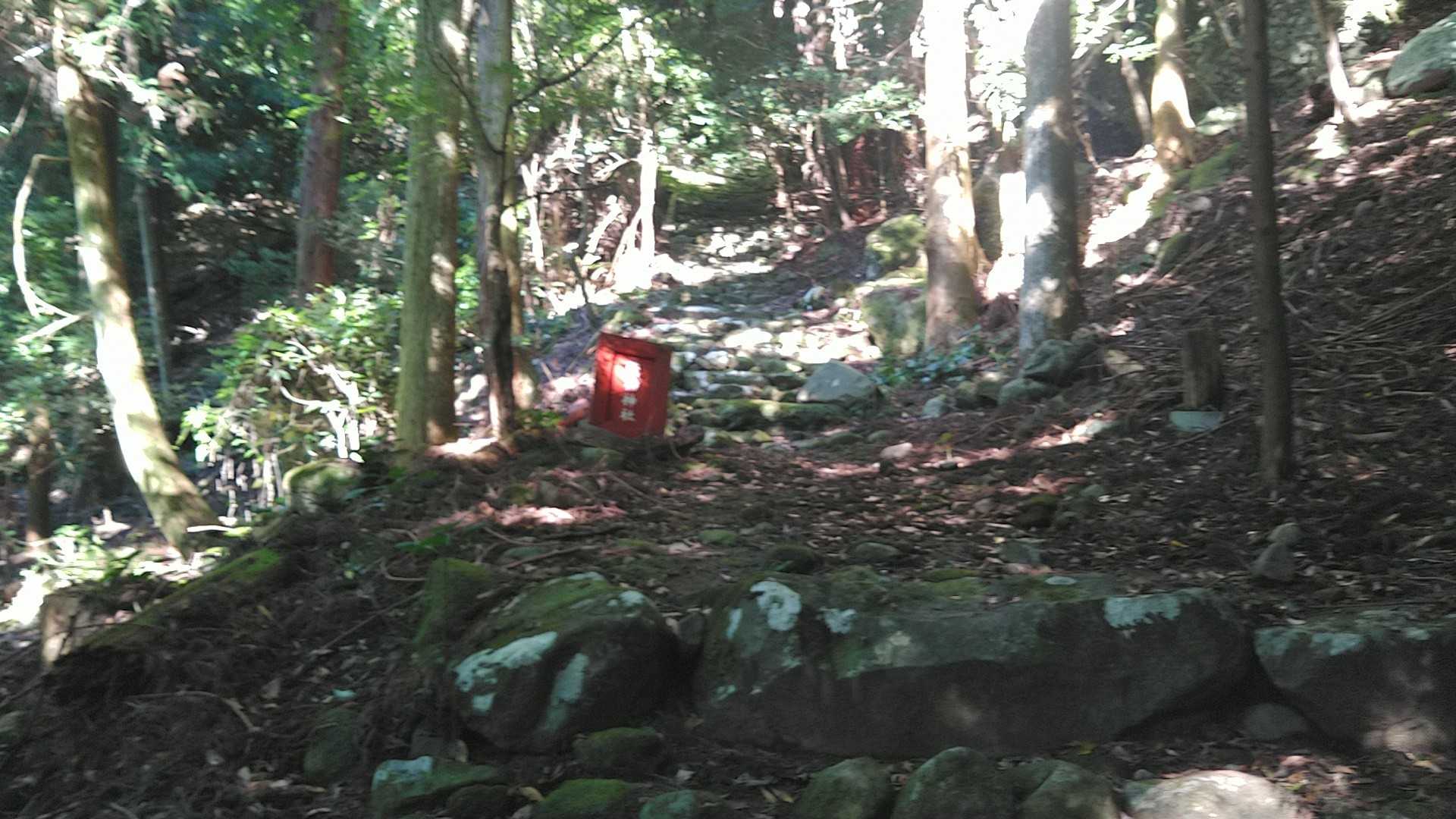 倒れた 鳥居の横 通り
