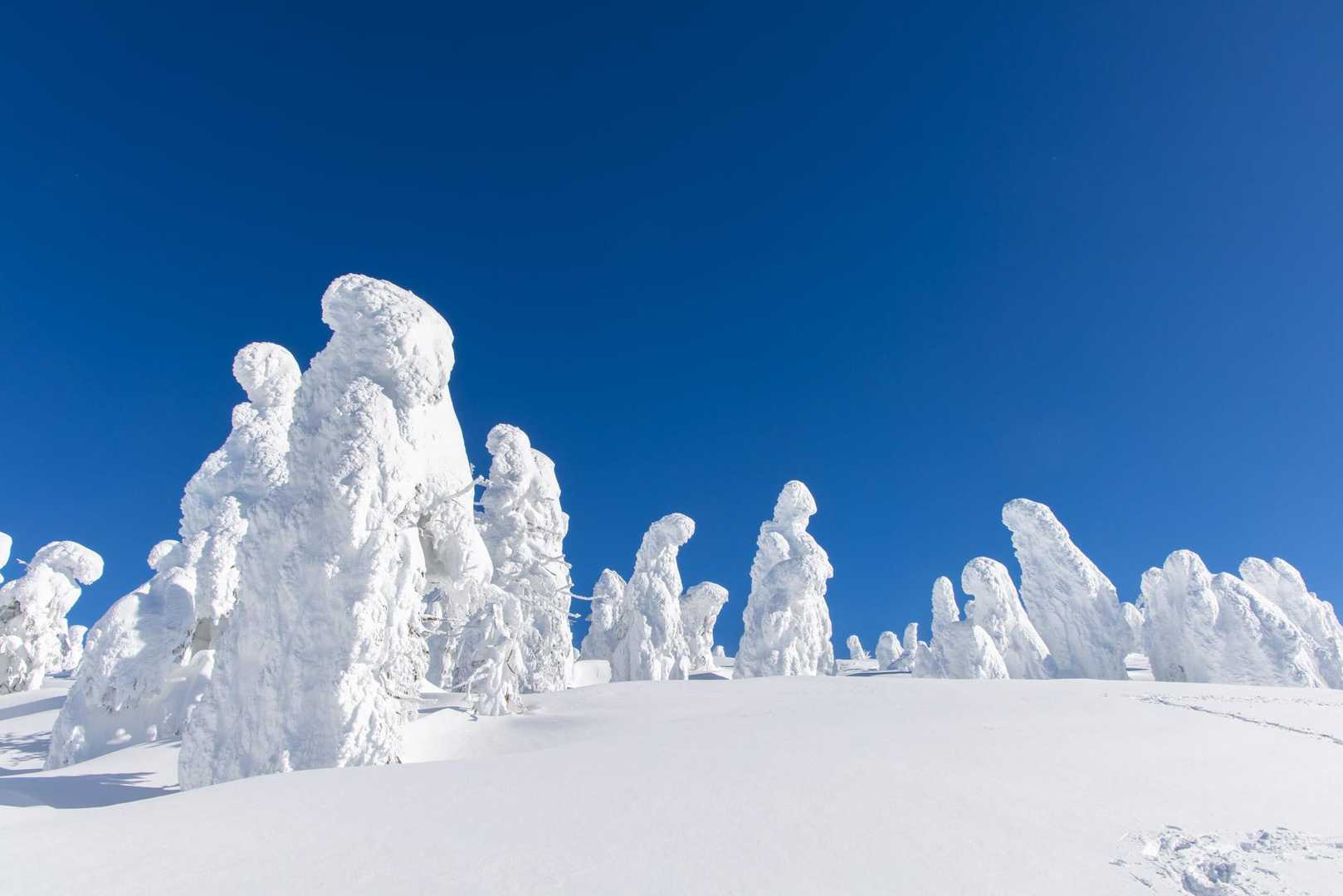 刈田岳-仙人沢コース登山口-蔵王ライザワールド 縦走コースの写真
