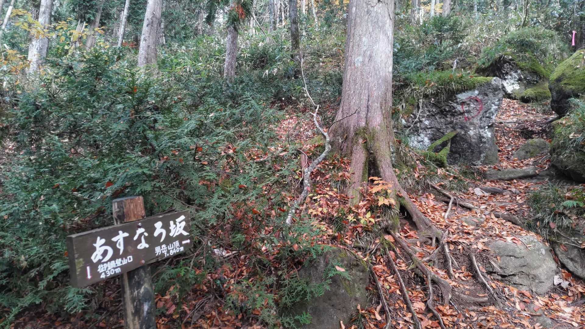 あすなろ坂。どんどん行きましょう。