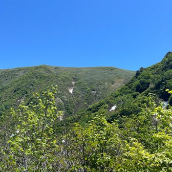 丹後見えてきた。