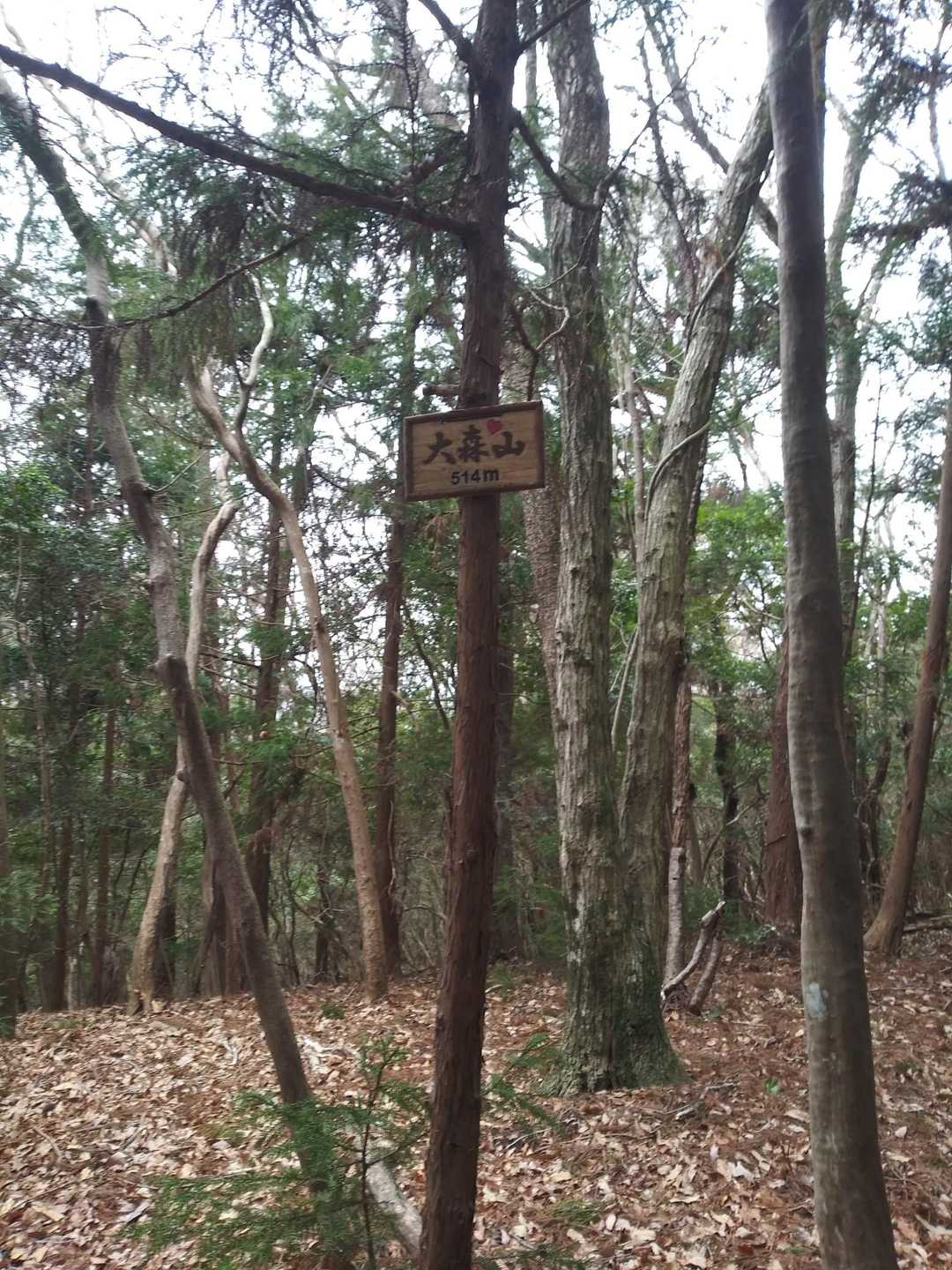眺望なし
