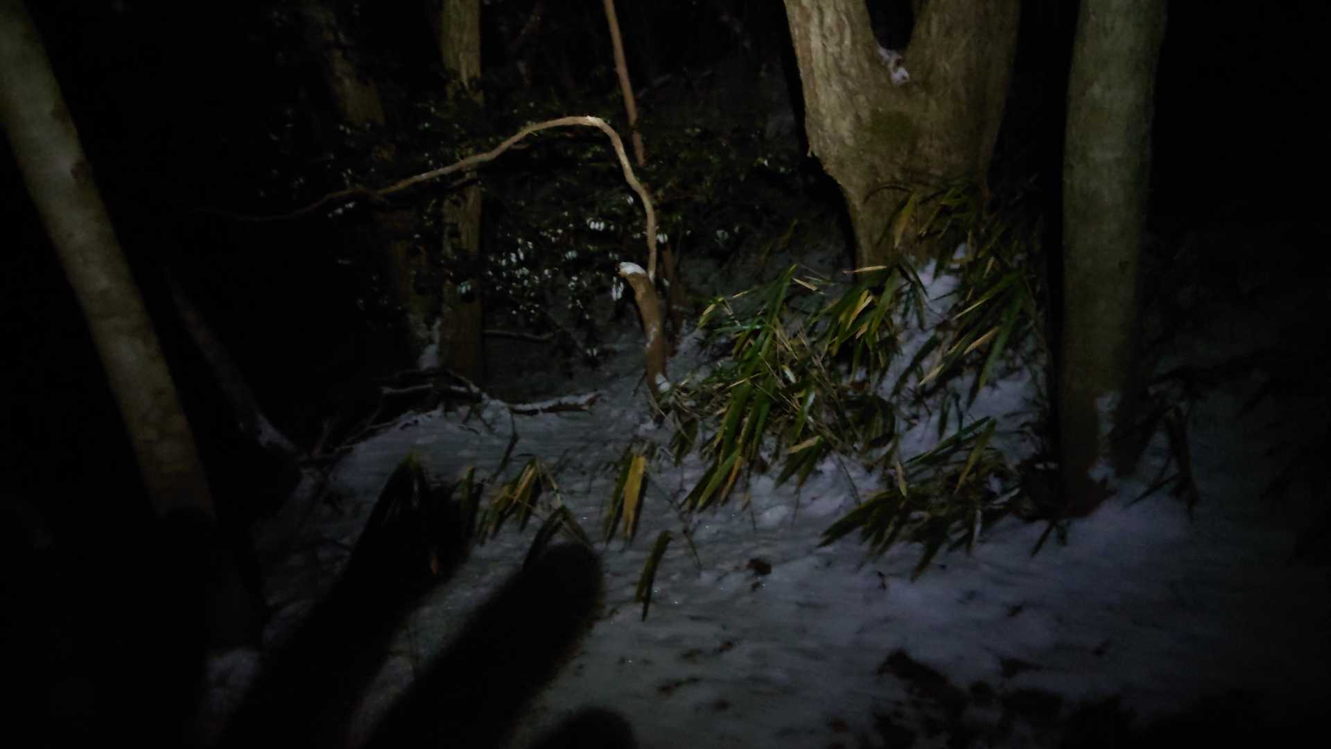 まだ雪残ってます