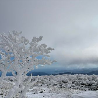 向こうは海💙
雲が流れていってくれたらいいのにな｡｡｡☁️