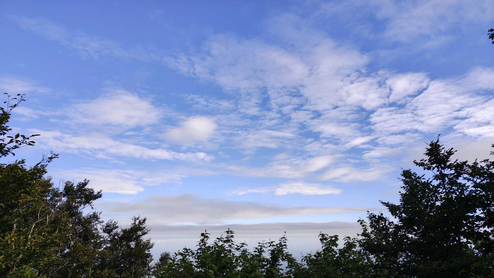 おおっ！
久しぶりの青空