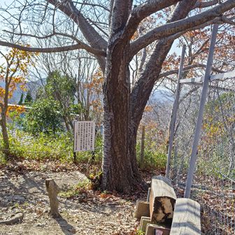 今日も満たされたハイキングをありがとうございました。🍀