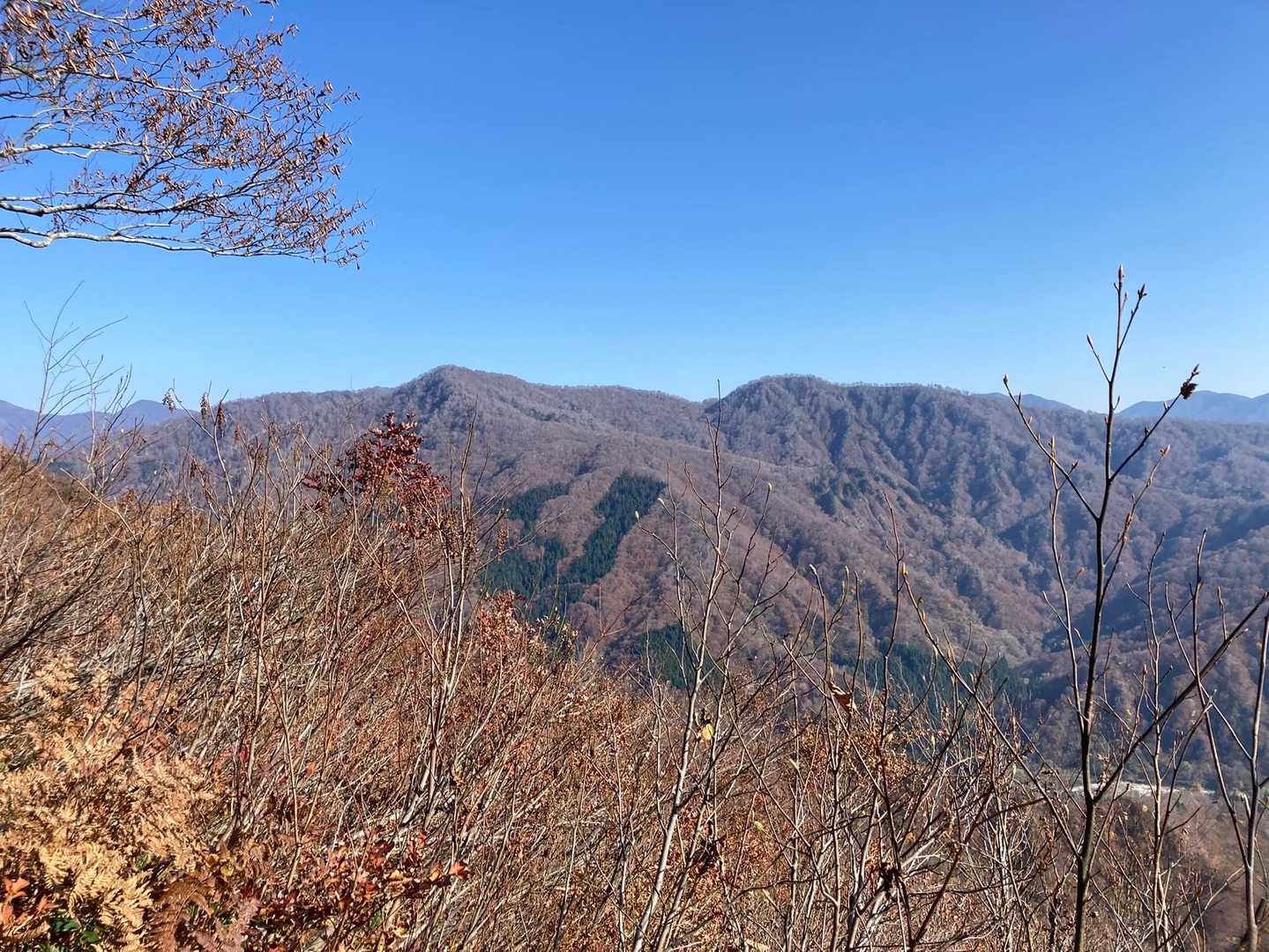 冬限定の白太郎山
と思ったが、どうやらこの写真撮ってる時に藪漕ぎ登山者いたようで凄い⛰