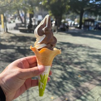 ソフトクリームも🍦