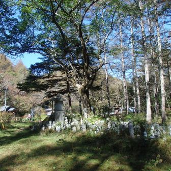 出発地の焼山峠へ下山。