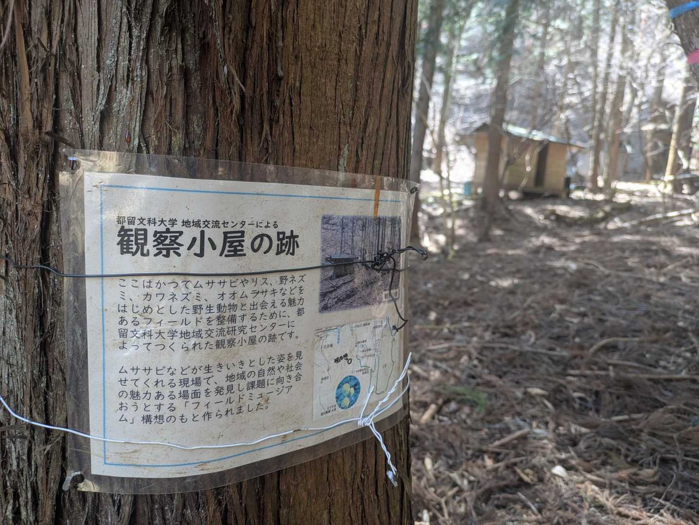 ムササビに聞いてみたいことがあるのです😌