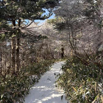 もう少しで頂上