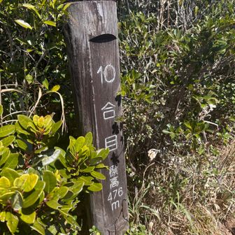 ようやく10合目