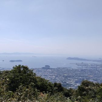 三河湾を一望