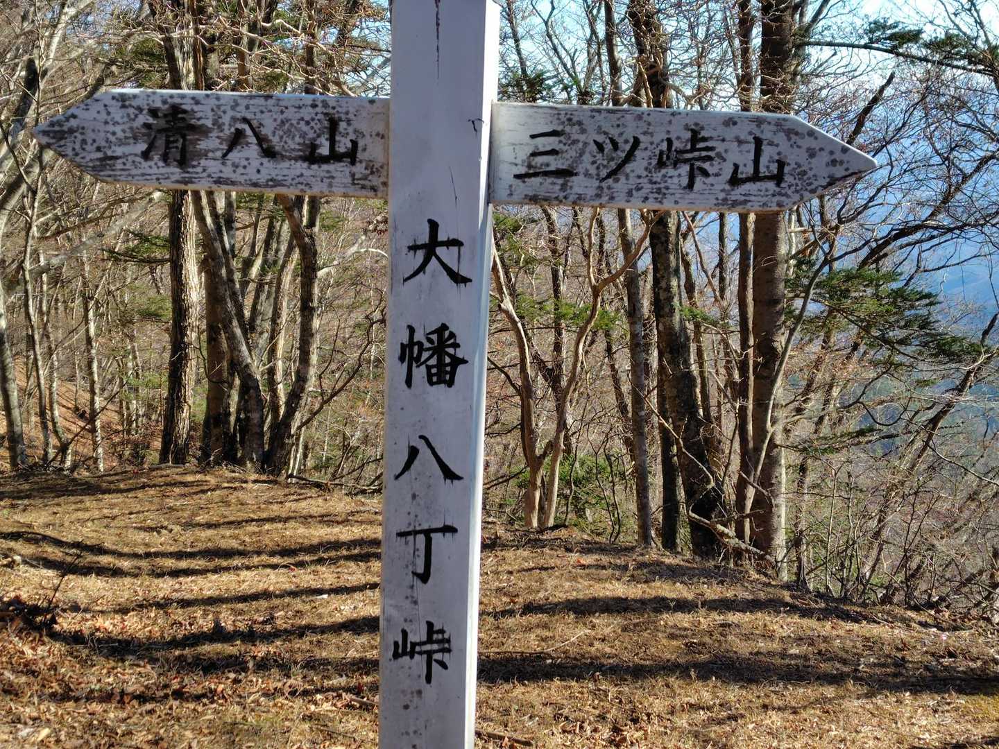 ここから山道へ
清八山へ