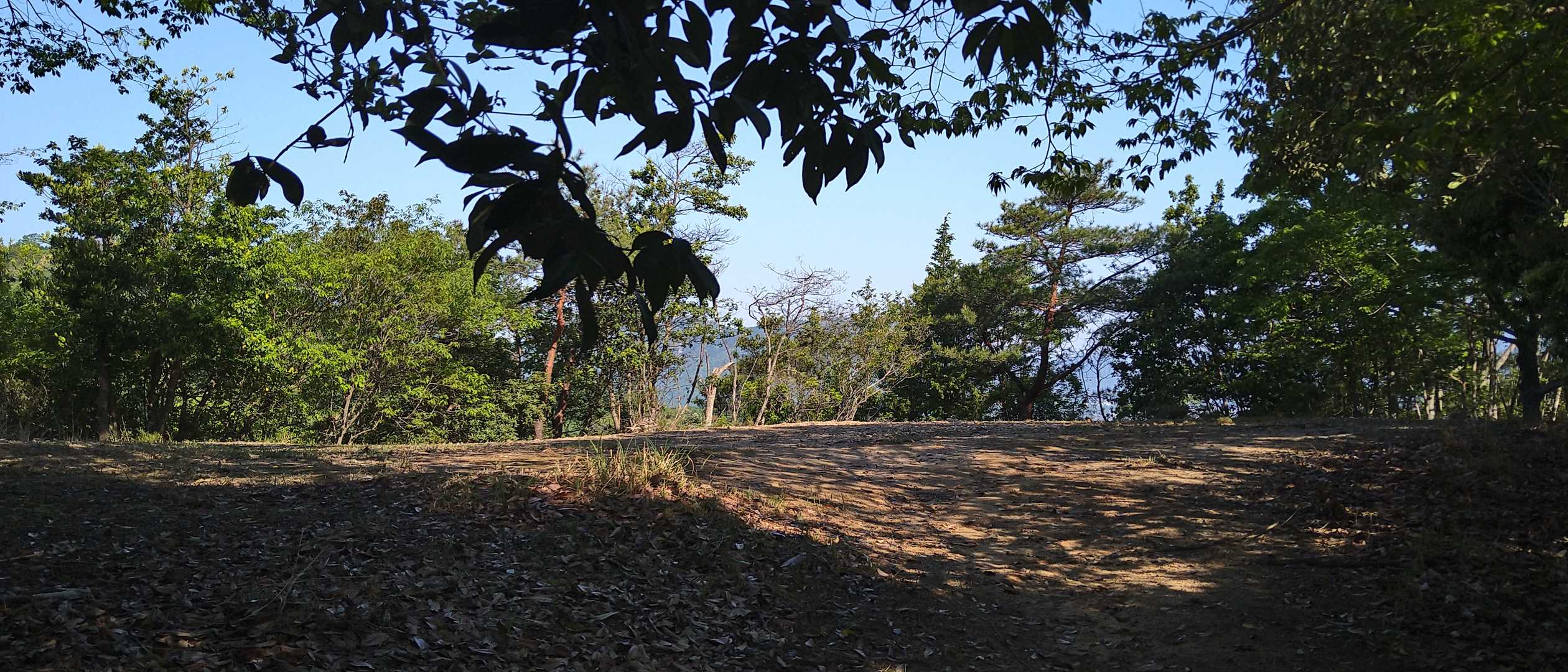 木ノ宗山 往復コースの写真