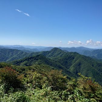 フックとレオン