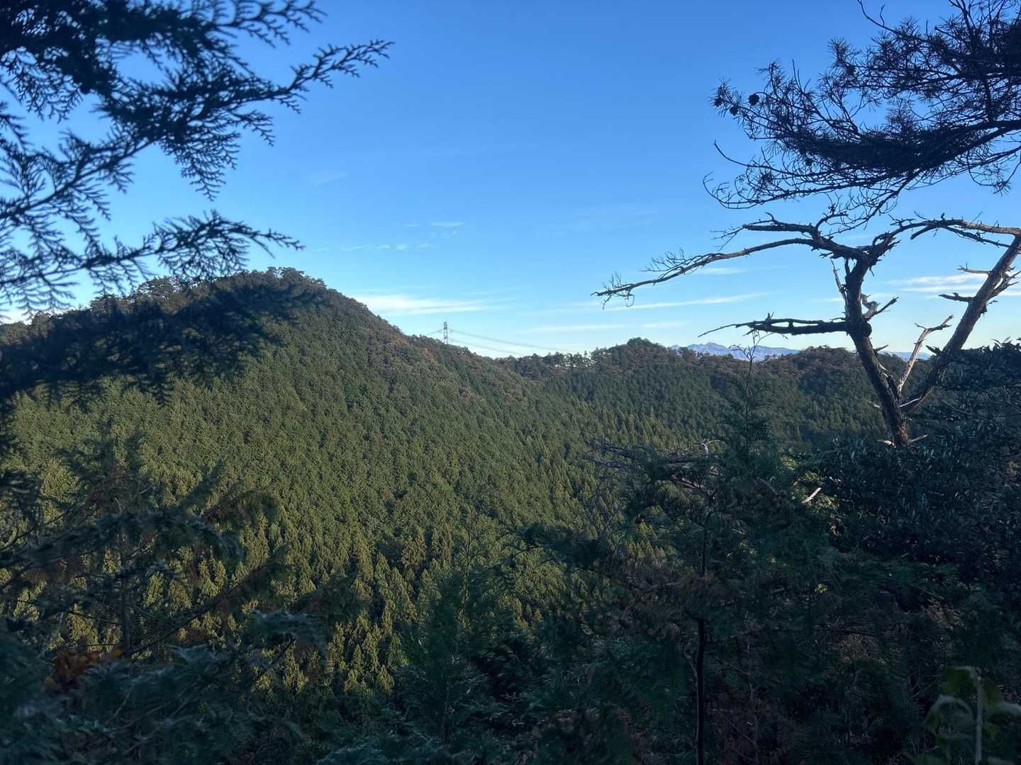 宇都宮市森林公園駐車場登山口-手岡峠-長倉山 周回コースの写真