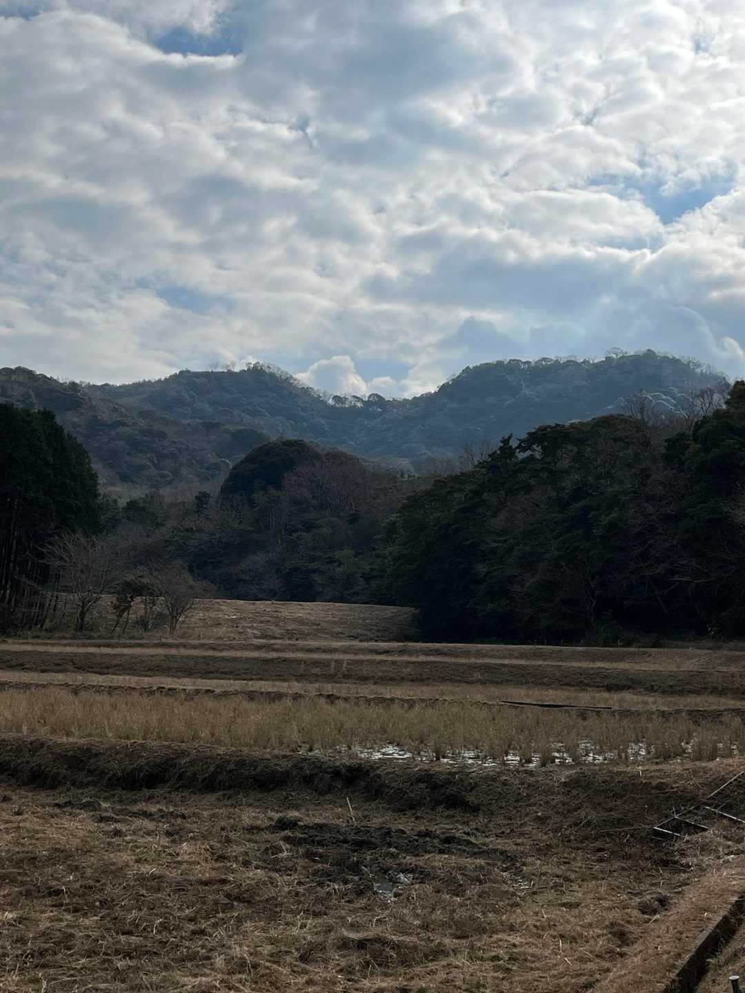 御所ヶ岳登山口の方に降りようと思ったけど駐車場まで車道歩きが長そうなので、御所ヶ岳から往復しました🚶‍♀️ちょうどフェンスの所を降り終わって、鞍部付近で御所ヶ岳の登る所が分からなくて迷われてるソロの男性がいたのでこっちから登りますよと案内しました💁‍♀️
登り返しがなかなかきつかったけど、距離と時間は車道歩きよりは早かったと思います😅

振り返って二の丸と馬ヶ岳が良く見えます✨
今日も一日ありがとうございました😊