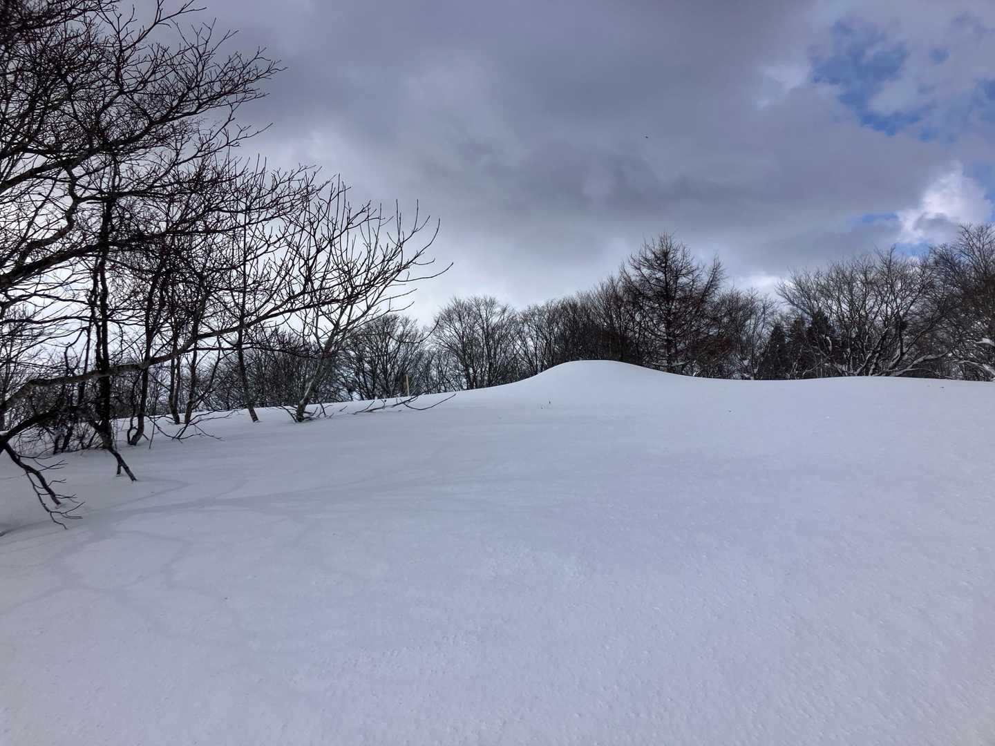 マンガン登山口-梵珠山 往復コースの写真