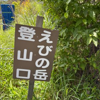 ここからもう一息
