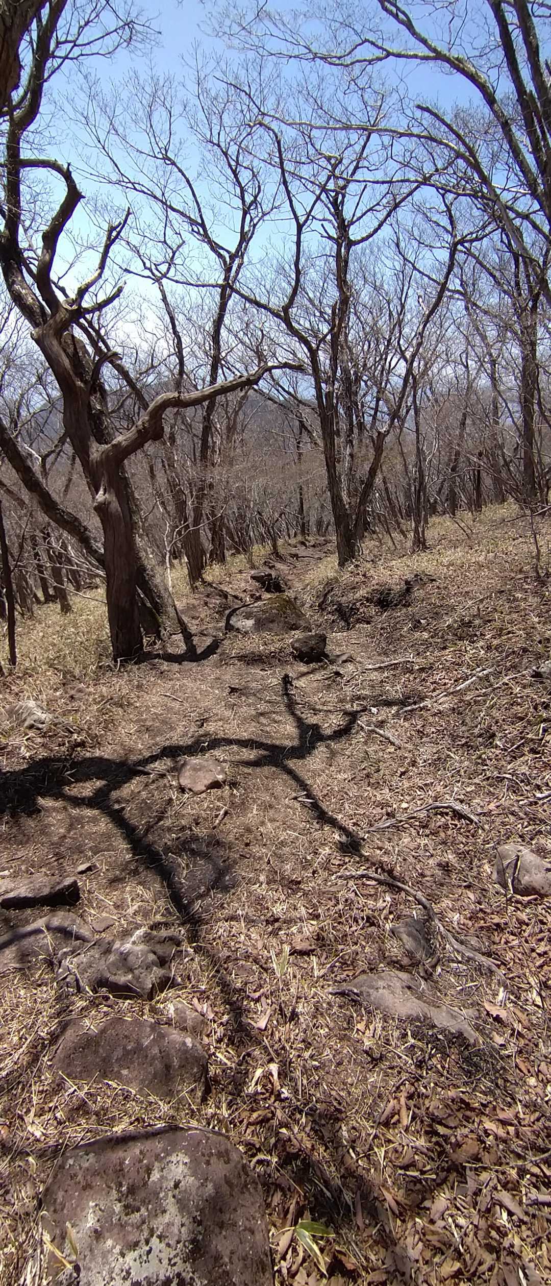 なんか良き①