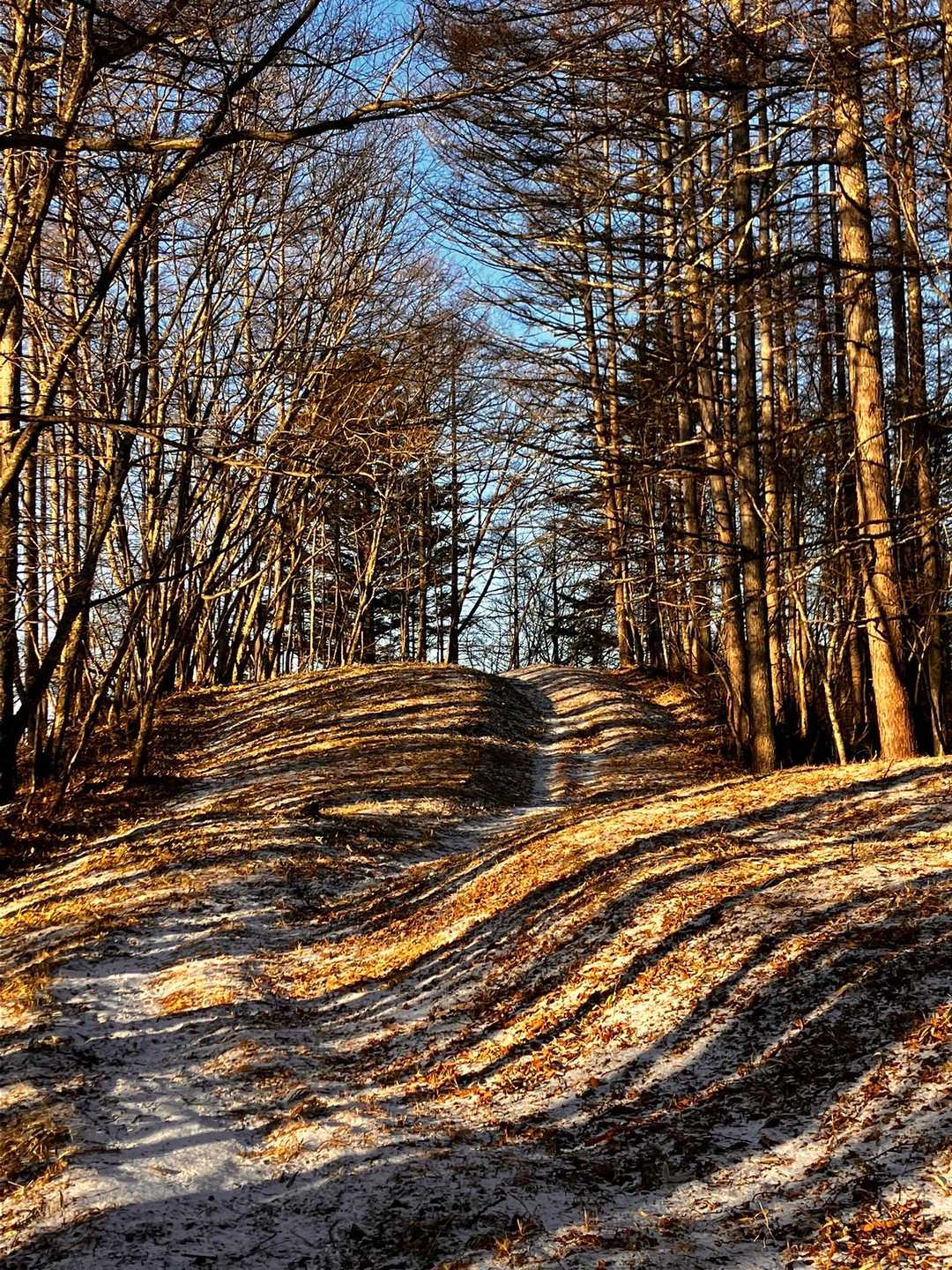 琴川ダム-小楢山 往復コースの写真