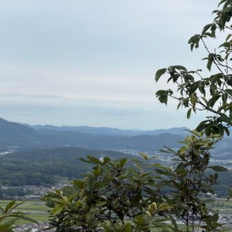 うっすらと岡山最高峰後山⛰️