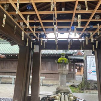 三島風鈴がたくさん🎐