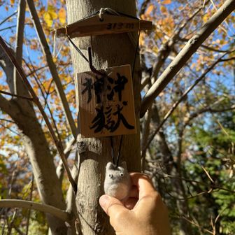 修復中に声を掛けられたので、振り向いたら誤って手に5針突き刺さる😂