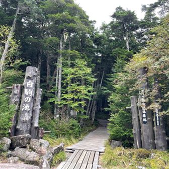 入り口こんな感じ。
おつかれ山でした。