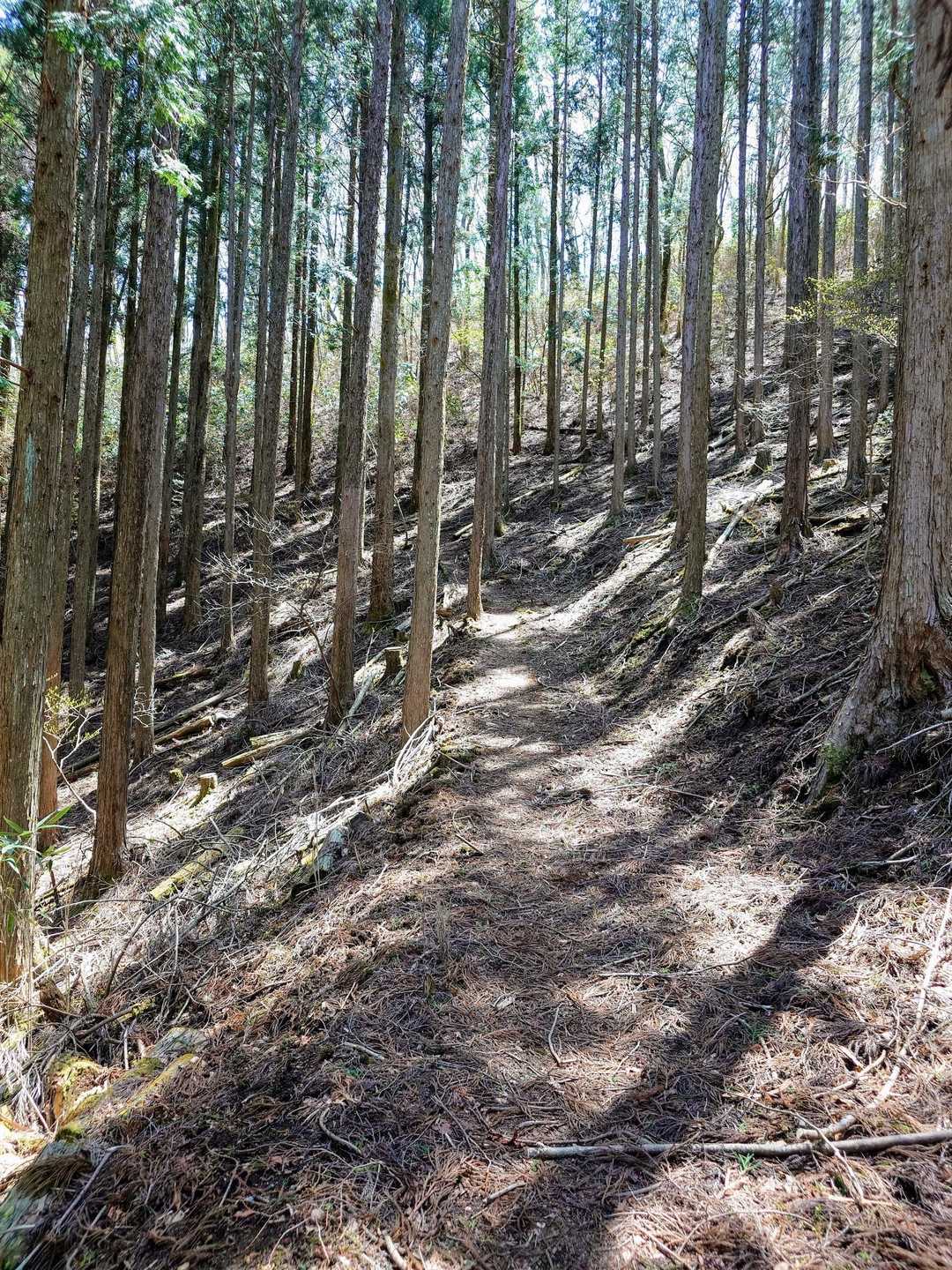 最初はこんな感じ✨