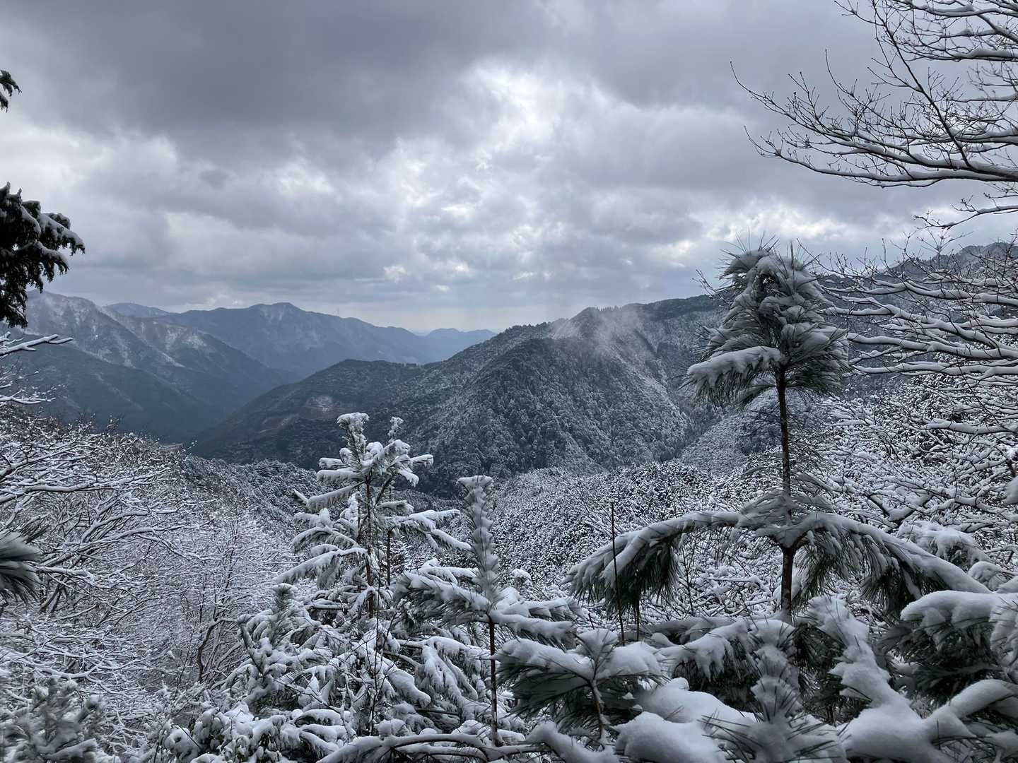 三国峠-三国岳 往復コースの写真