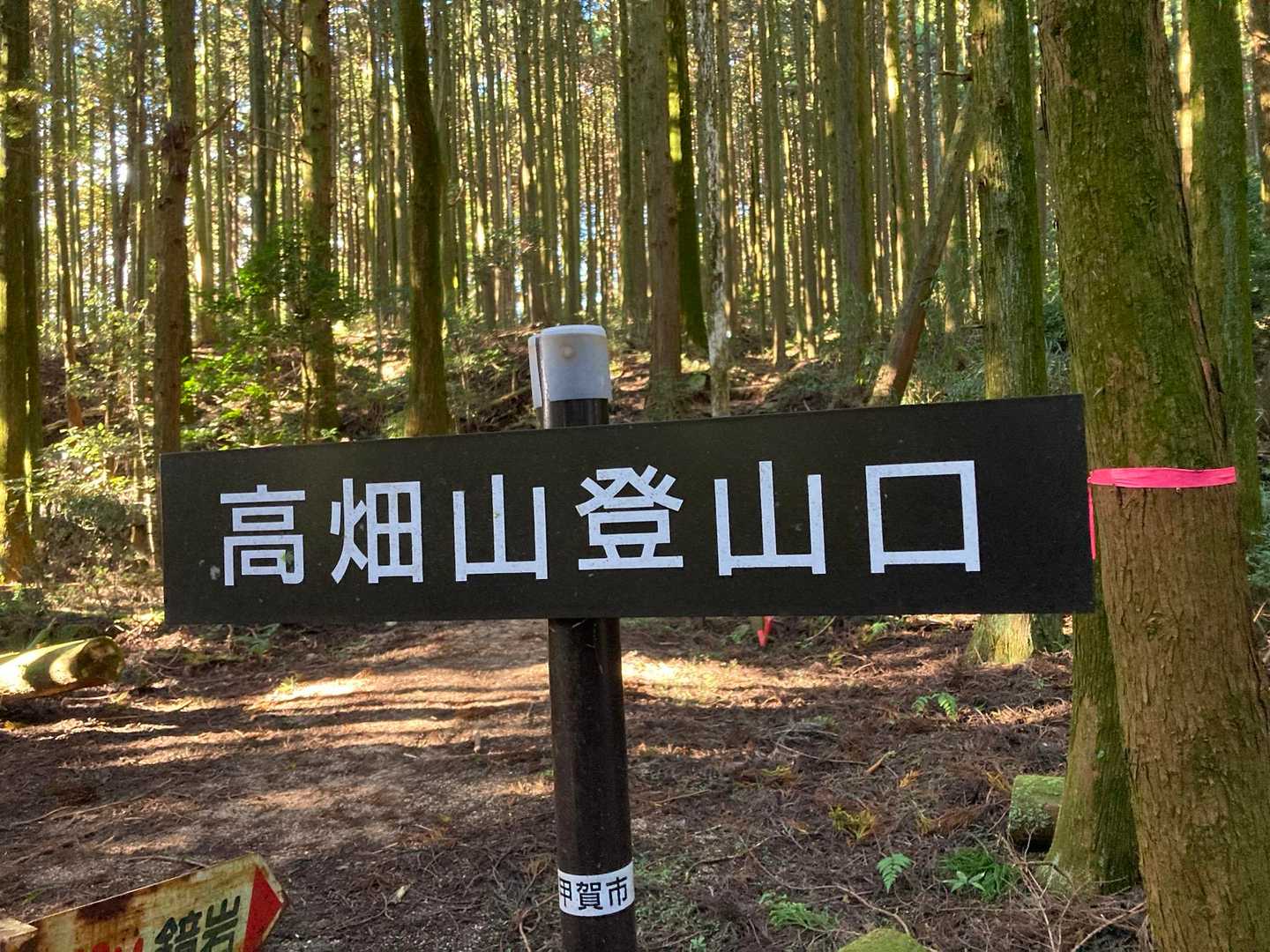 亀山七座の紹介によると
ナイフエッジ、360度の眺望がこのお山の特徴らしい。
ナイフエッジいらんし💦