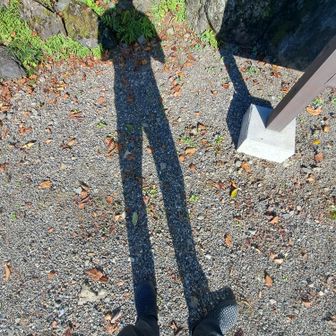 あしながおじさん