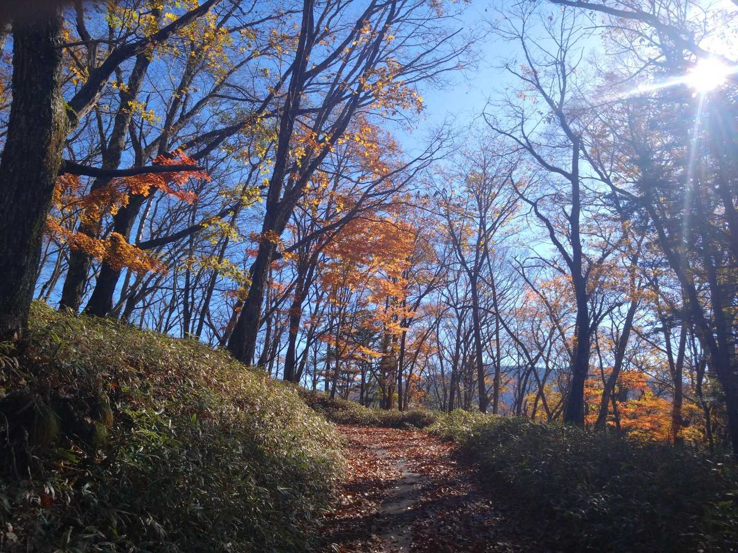 最初はこんな道。青空がとてもきれい😄