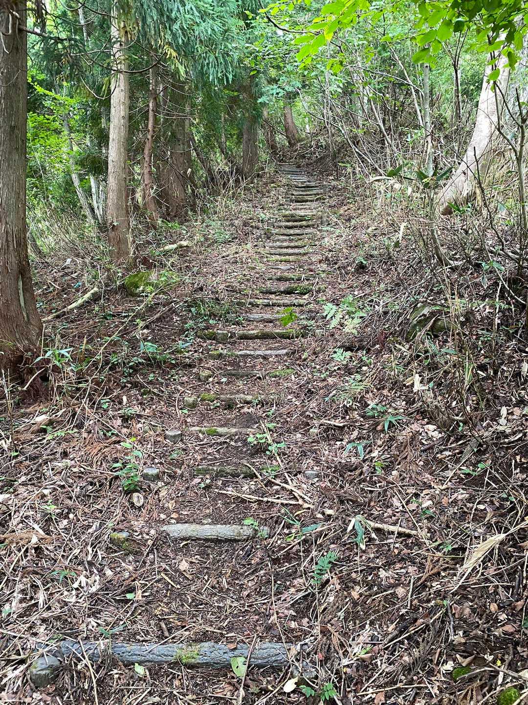 鉢伏山 往復コースの写真