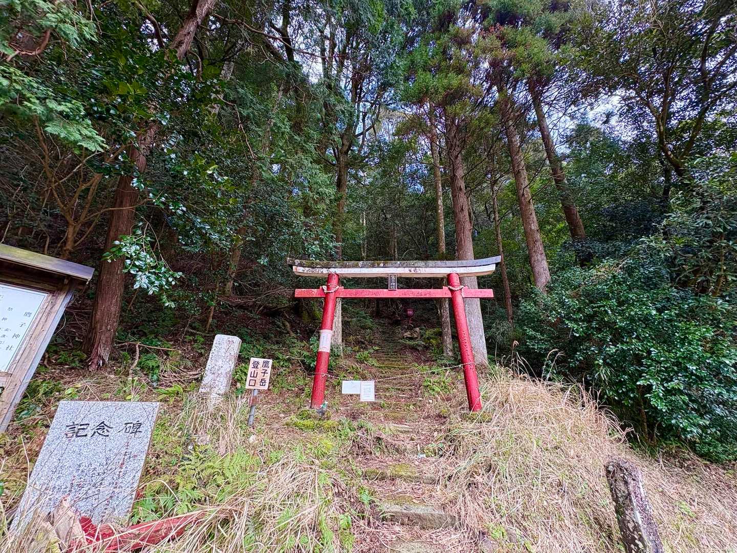 こちらから💁🏻