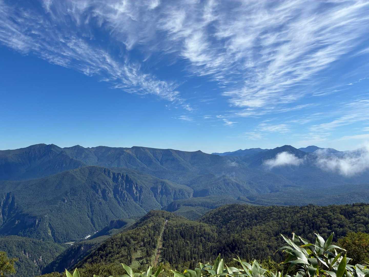 赤岳登山口-第一花園-赤岳-北海岳-黒岳-七合目リフト駅 縦走コースの写真