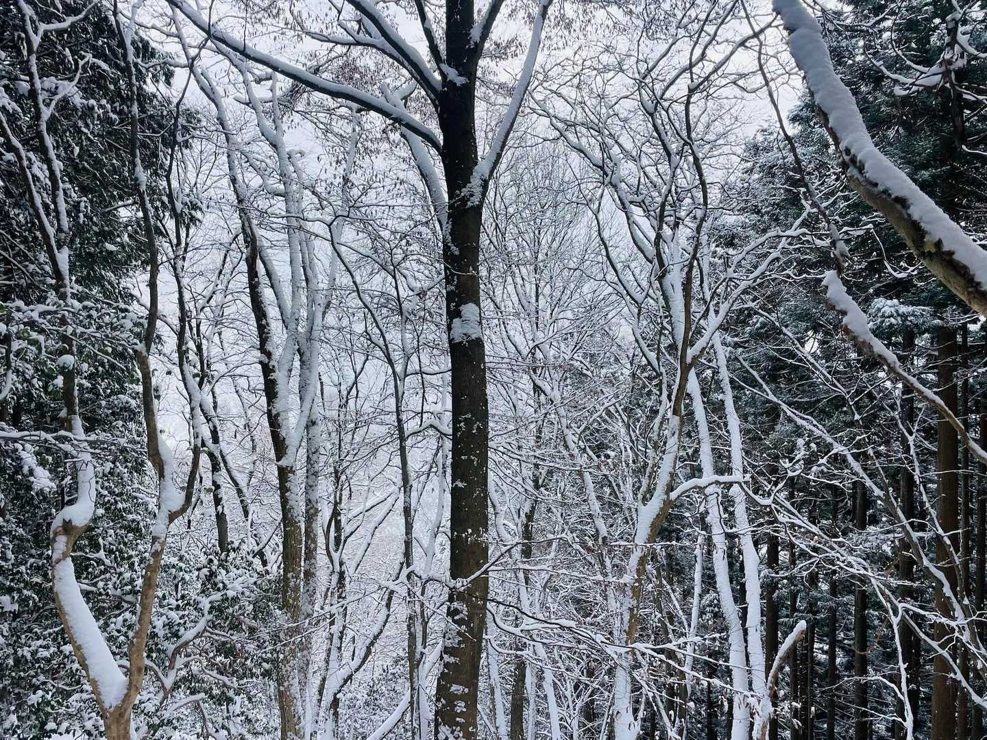 美しい😍