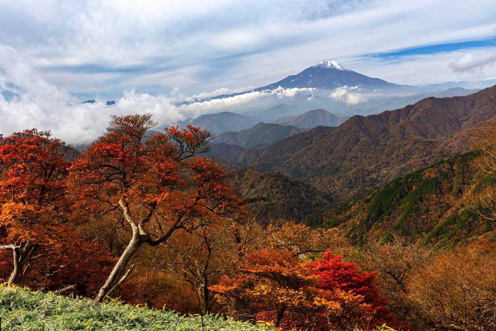 🍁🗻