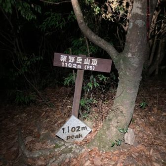 暗いので写真なし！
1座目🙌