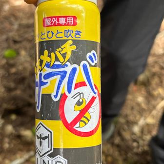 これは殺虫剤ではなく殺さないで退治するタイプらしい
何故かガイドさんめがけてスズメバチ🐝
メッチャ早技で噴霧
商品名通りスズメバチサラバ
すぐ出せる所に所持はさすが
私はスプレー探してる間に刺されてるわ😰