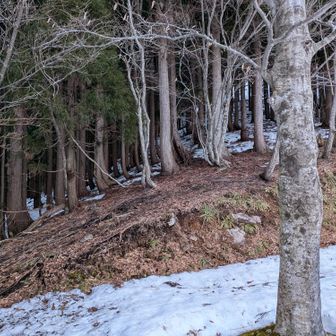 ここ登山口？
まぁいいか、とりあえずここから
