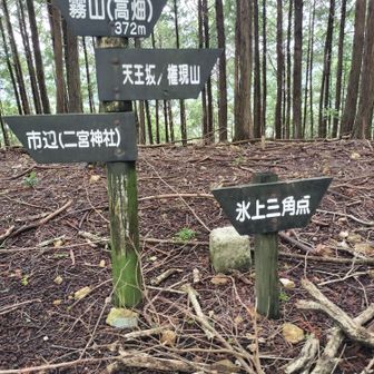 き、きた〜。
霧山、371m ゲット💮
展望なし、残念🥹