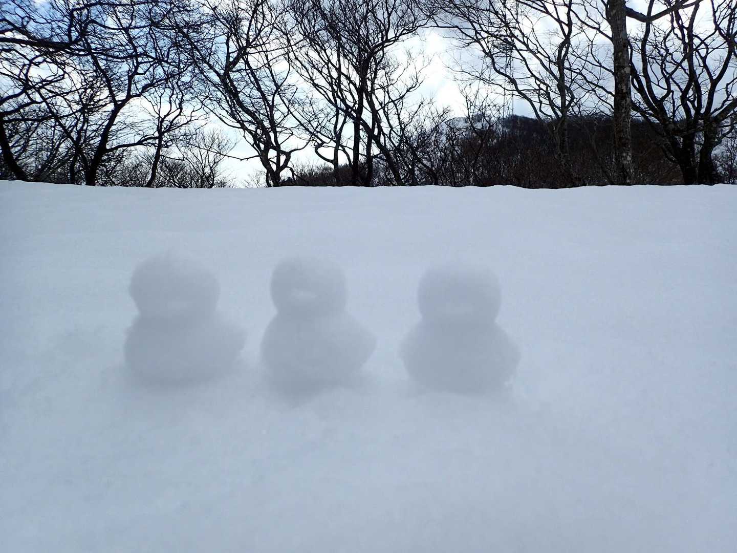 赤坂山往復 | 琵琶湖と日本海を同時に望む、花の百名山・高島トレイルの稜線への写真